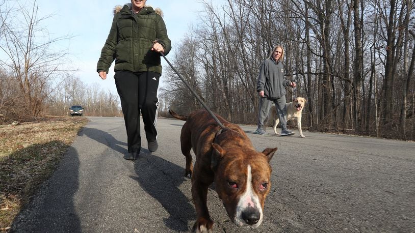 The Clark County SPCA will host Hike with a Hound at George Rogers Clark Park. File/Bill Lackey