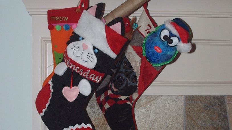 Teddy’s, Abby’s and Wednesday’s stockings. KARIN SPICER/CONTRIBUTED