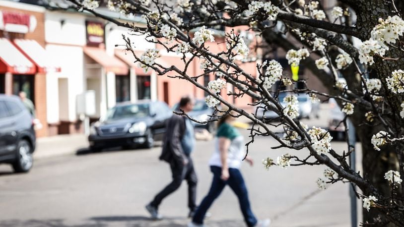Allergy season has started in the region. On Jasper Street two pedestrians walk under blooming trees. JIM NOELKER/STAFF