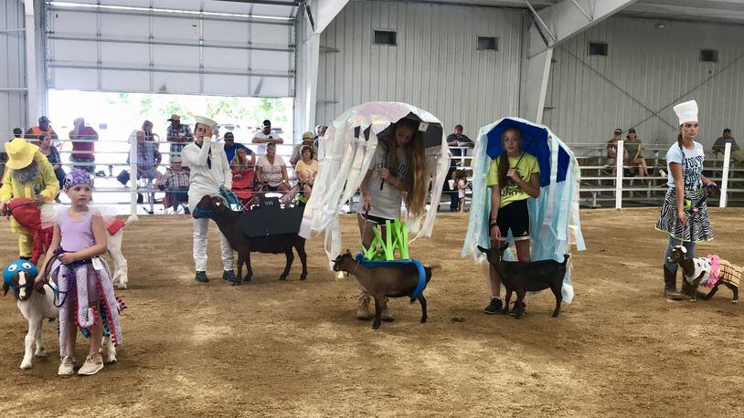 Children compete at the Champaign County Fair’s Dress-a-Goat contest. RILEY NEWTON/STAFF
