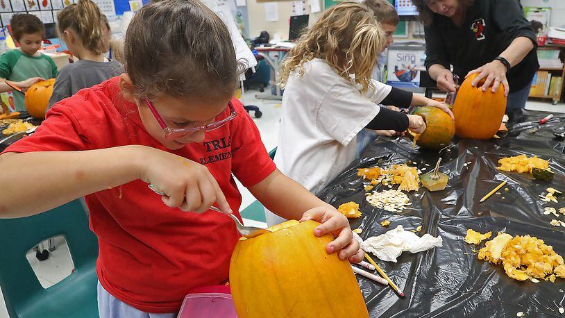 Clark and Champaign school districts reported 71 new coronavirus cases. Here, Becky Carpenter's second grade class carved pumpkins and counted the seeds inside last month at Triad Elementary. BILL LACKEY/STAFF