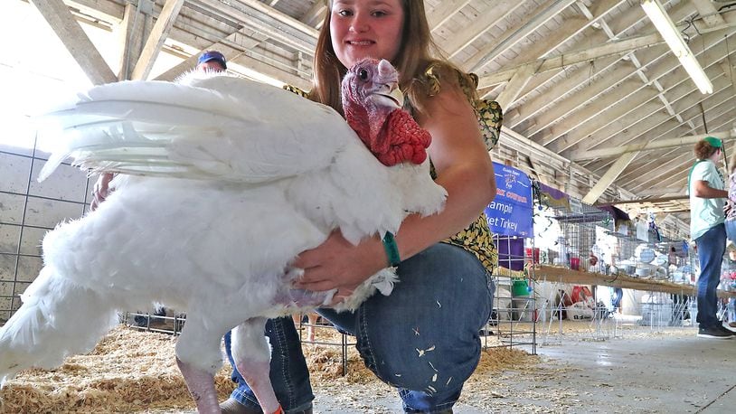 Aubrey Anderson with her prize winning turkey Friday, July 29, 2022 at the Clark County Champions Showcase and Jr. Fair Auction. Aubrey is donating all the money from the sale of her turkey to the family of fallen Clark County Deputy Matthew Yates. The turkey sold for $5,000. BILL LACKEY/STAFF 
