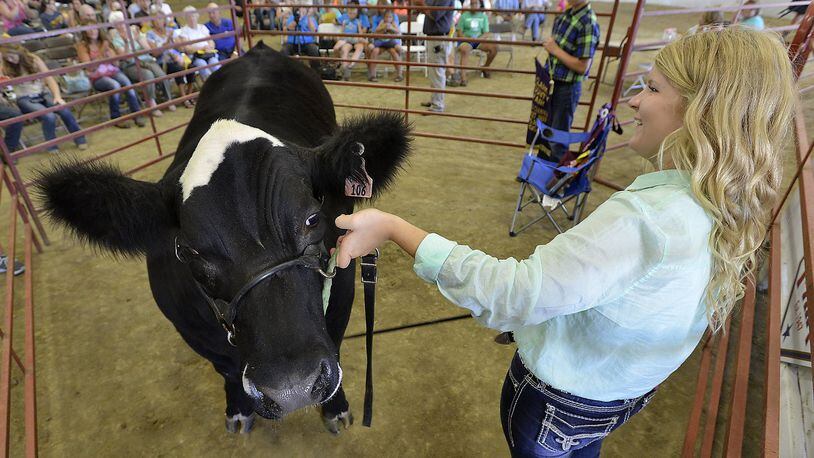 Sydney Peters shows her Grand Champion Steer on the auction block at the 2015 Clark County Fair. Bill Lackey/Staff