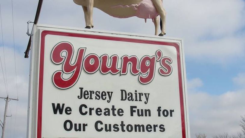 The cow statue on top of the sign for Young’s Jersey Dairy on U.S. 68 was blown off its perch during high winds Saturday April 2, 2016. (Contributed)