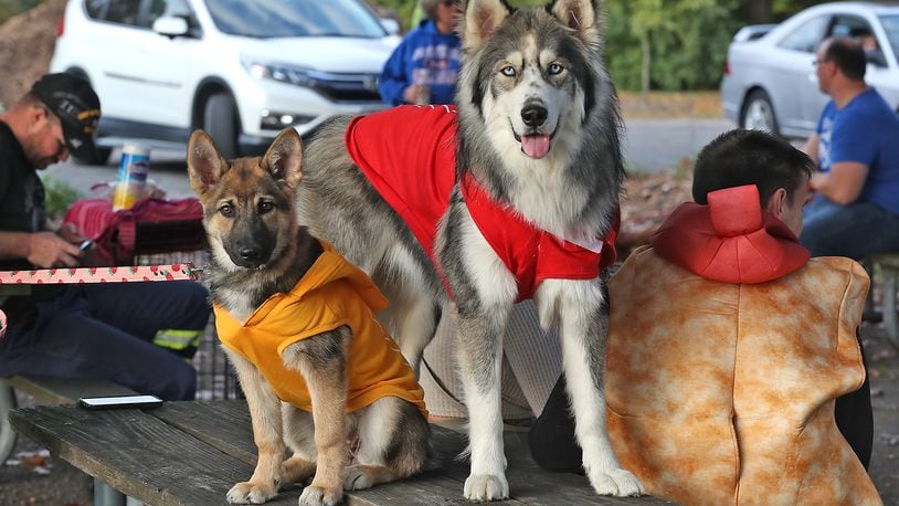 Two dog names and one dog breed were in the top most popular in both Clark and Champaign Counties. Here, dogs of all breeds and sizes were at National Trail Parks and Recreation's annual Yappy Howl-o-ween event last year. FILE/BILL LACKEY/STAFF