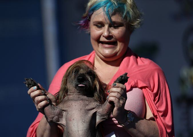 2016 World's Ugliest Dog contest