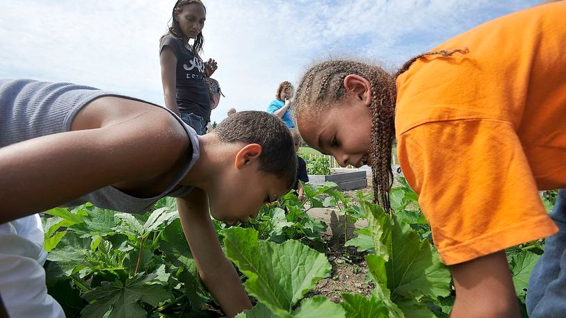 The Springfield Promise Neighborhood will do a community service project to improve its community garden. Bill Lackey/Staff