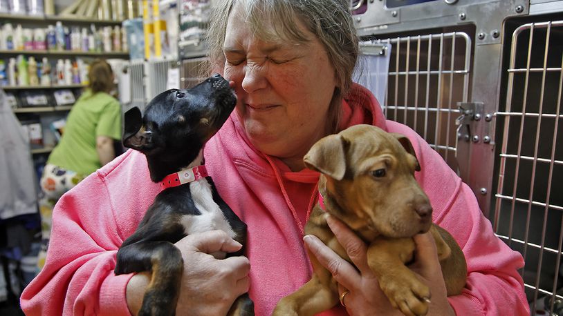 Krissi Hawke, president of the Clark County SPCA, gets a face full of puppy kisses from a pair of pups up for adoption at the SPCA Thursday, Jan. 11, 2024. BILL LACKEY/STAFF