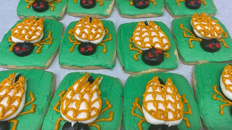 Ashley’s Pastry Shop in Oakwood is selling their own, bug-free, butter with butter cream frosting cicadas cookies.