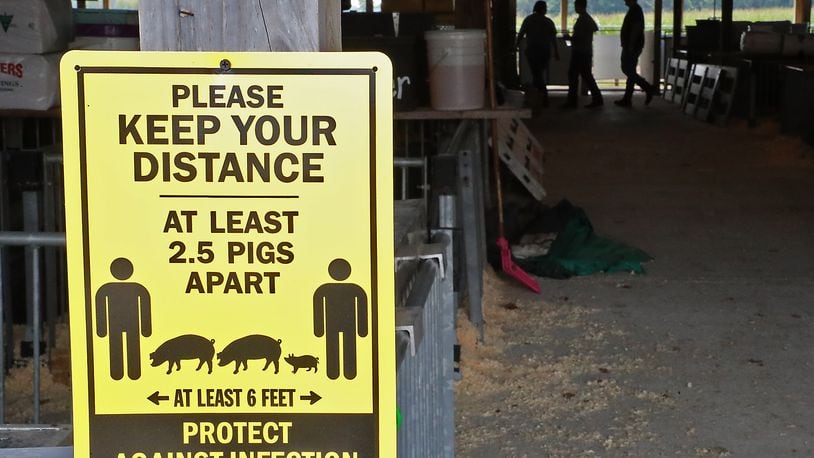 Signs on all the barns warn people about social distancing at the Champaign County Fair Thursday. BILL LACKEY/STAFF