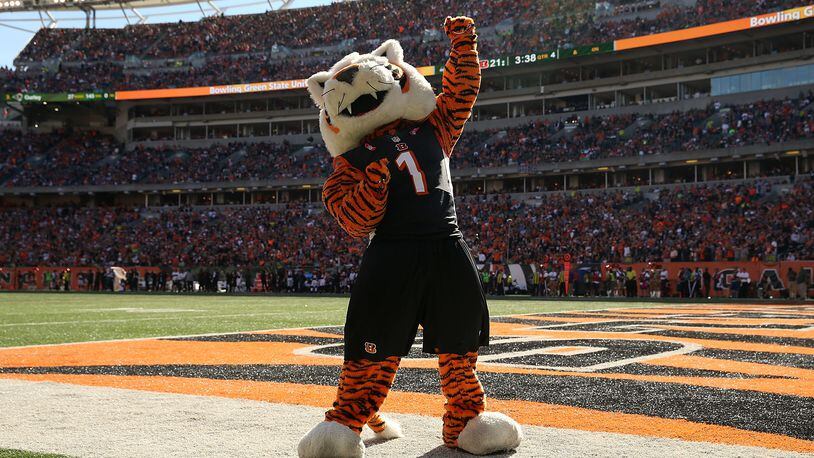 The mascot for the Cincinnati Bengals dances on the sideline during a game between the Bengals and the Seahawks at Paul Brown Stadium in 2015. Former Bengals linebacker Bill Bergey, for whom sadly no photo is available, surely would've flattened this cat if they ever met on a football field.
