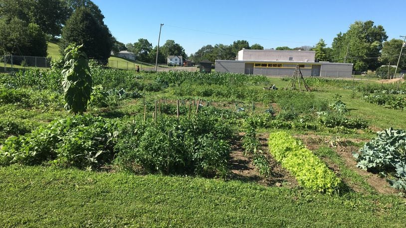 The Jefferson Street Oasis Community Garden will be one of seven stops on the 24th annual Women s Association of the Springfield Symphony Orchestra Garden Tour, July 15-16. CONTRIBUTED