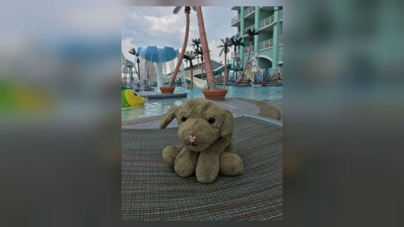 A hotel is hoping its social media post will help reunite a lost stuffed dog left in a room with its owner. (Photo: Hilton Suites Ocean City)