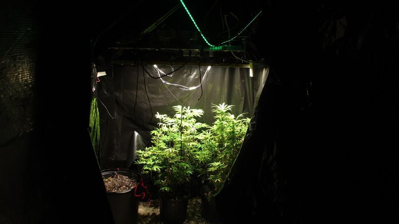 Urbana police arrested two people earlier this month who are accused of running a large indoor marijuana growing operation/Submitted