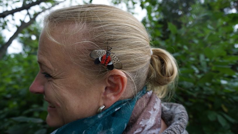 Amy Stone has a spotted lanternfly land on her hair. CONTRIBUTED/PAMELA BENNETT