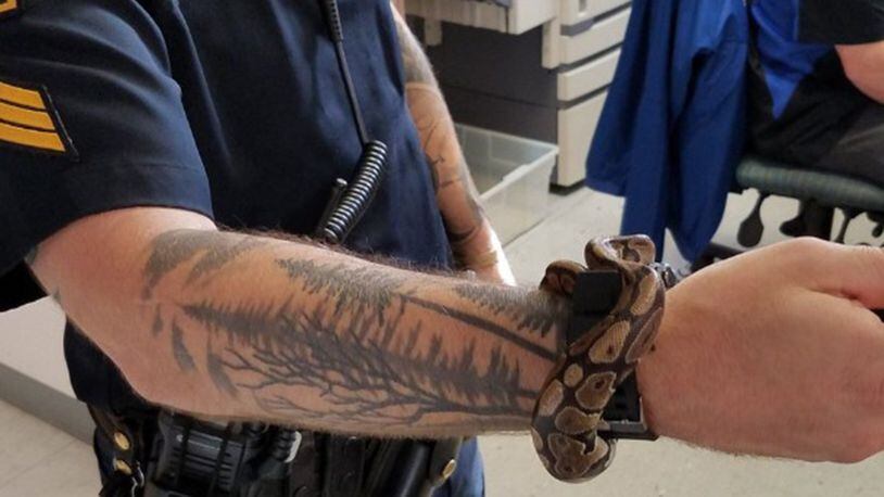 A person being arrested by the Omaha Police Department had a python in their pocket. The snake has since been taken to the Nebraska Humane Society, where it will stay for five days before going up for adoption or taken to a sanctuary.