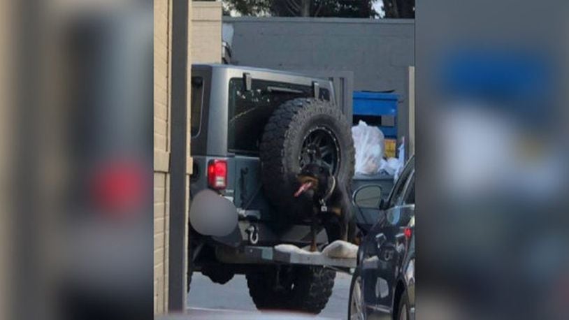 Police  are investigating reports of a dog riding on a cargo carrier of a Jeep.