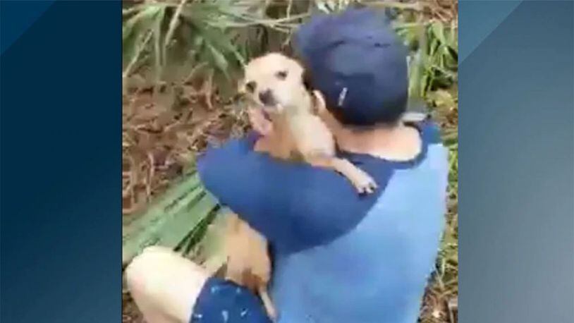 An owner and his dog were reunited after the dog went missing following a New Year’s Eve crash, the Flagler County Sheriff’s Office said.