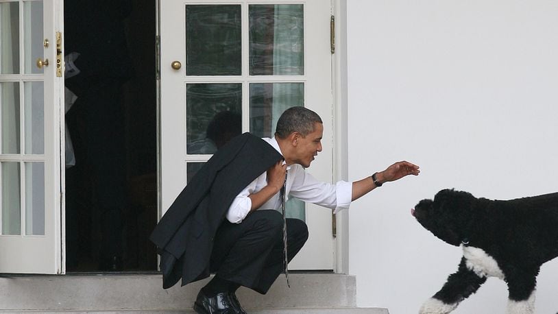WASHINGTON - MARCH 15:  U.S. President Barack Obama greets his dog Bo outside the Oval Office of the White House March 15, 2012 in Washington, DC.  (Photo by Martin H. Simon-Pool/Getty Images)
