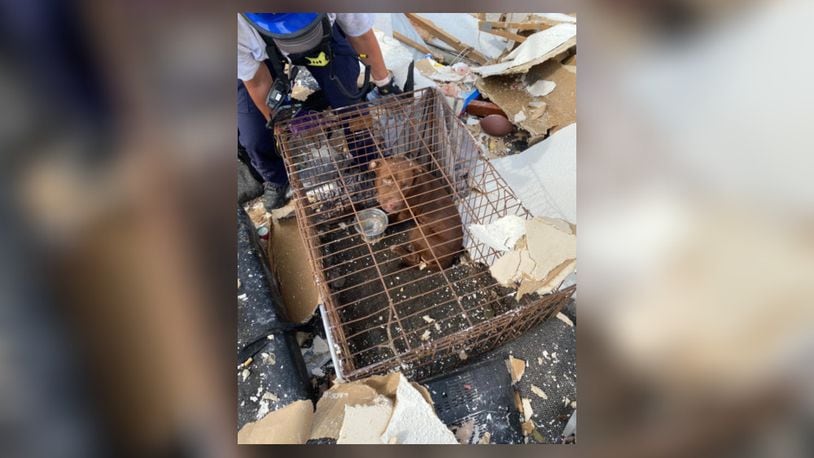 Ohio Task Force 1 rescued 21 dogs during wide area searches in the aftermath of Hurricane Laura. Seven of the dogs rescued in Louisiana on Sunday, Aug. 30, 2020, were found trapped in a collapsed structure. Photo courtesy the National Urban Search & Rescue Response System