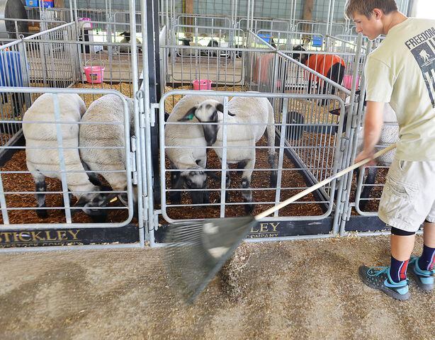 Champaign County Fair Opening Day