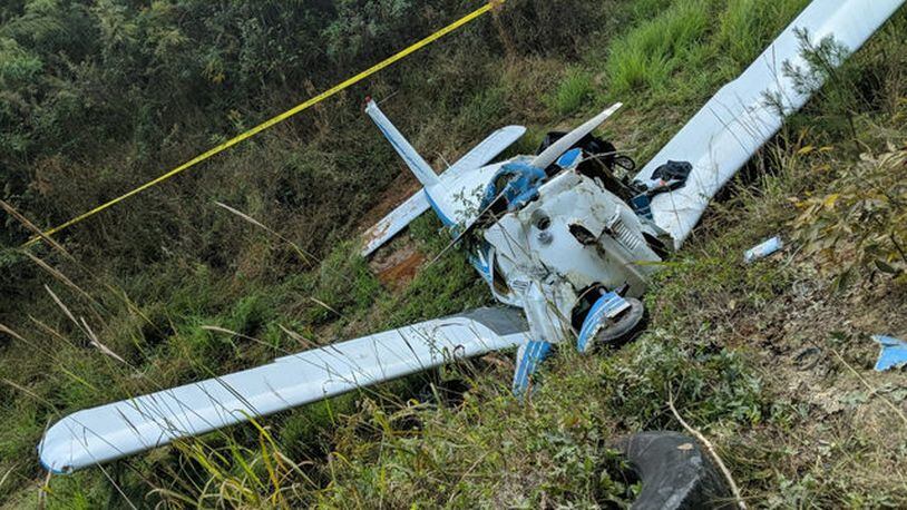 A small plane crashed in Georgia, killing the pilot.