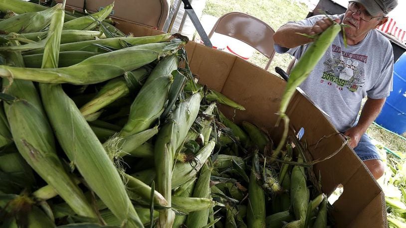The South Vienna Corn Festival is canceled this year. File.