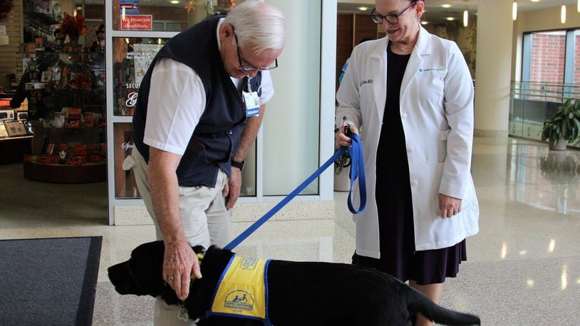 Larry Miller, a volunteer for Mercy Health Springfield Regional Medical Center, pets service dog in training Burbank as he accompanies his handler Dr. Lynne Eaton during her daily rounds. HASAN KARIM/STAFF