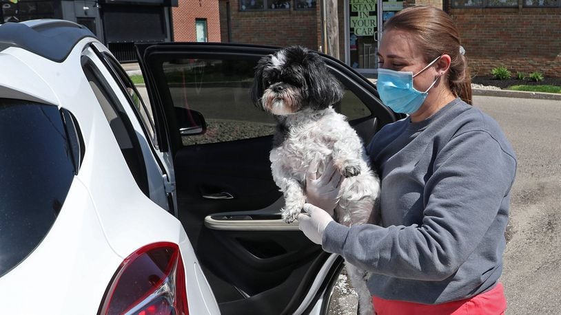 Jordan Ballard, a veterinary technician at the Springfield Animal Hospital, picks up “Charlie” from his owner’s car to take him into the hospital Wednesday. To keep their customers and themselves healthy, Springfield Animal Hospital is offering curbside service so pet owner don’t get out of their cars. BILL LACKEY/STAFF