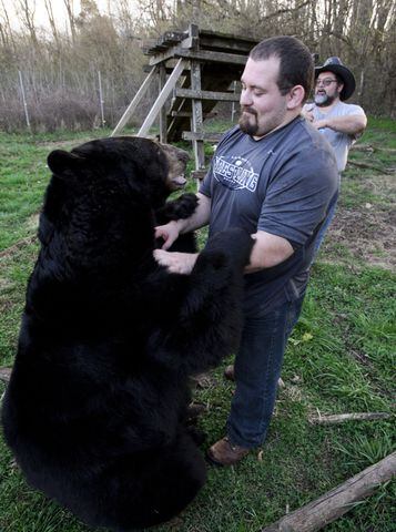 Bear owners say proposed law will be costly