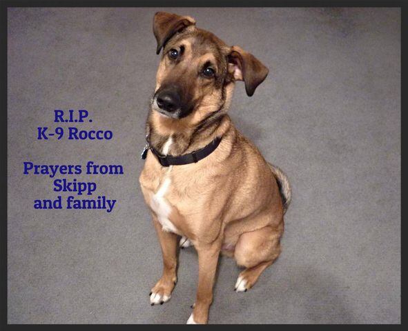 RIP Rocco