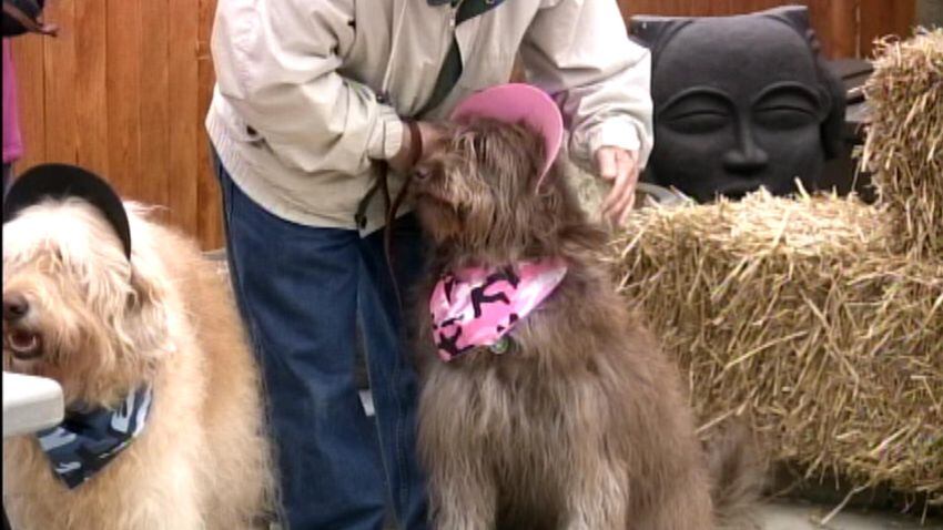 IMAGES: Local garden center hosts Bow Wow Ween