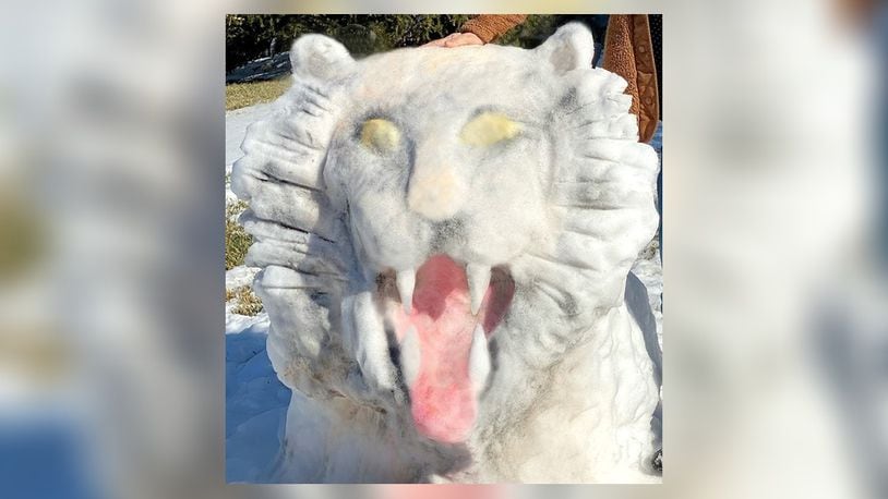 Browns fan Lee Quellhorst of Centerville jumped on the Cincinnati Bengals bandwagon and created a Bengal tiger snow sculpture in her front yard in honor of the Bengals' trip to the Super Bowl. CONTRIBUTED