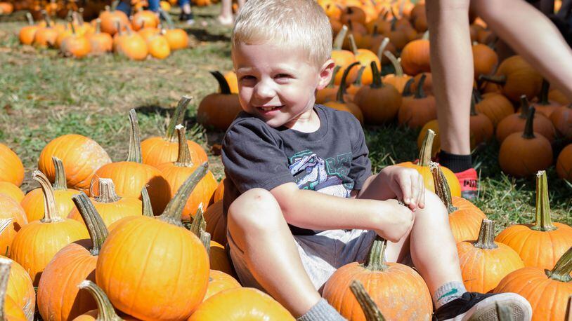 Fall is the perfect time for pumpkin fun. TOM GILLIAM / CONTRIBUTING PHOTOGRAPHER