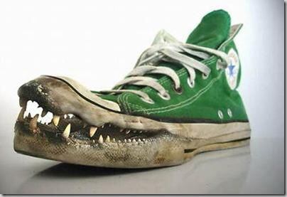 Crocodile Converse