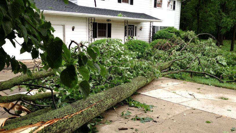 A tree fell very close to a house in Auglaize County early Thursday morning. Photo: Steve Baker