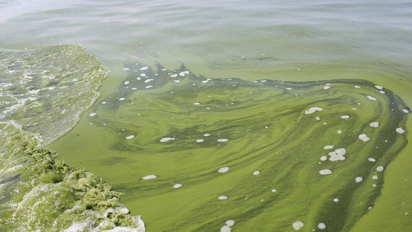 FILE - In this Aug. 3, 2014, file photo, an algae bloom covers Lake Erie near the City of Toledo water intake crib about 2.5 miles off the shore of Curtice, Ohio. Several environmental groups in Ohio and Michigan are suing the U.S. Environmental Protection Agency, saying the agency isn’t doing enough to protect Lake Erie from toxic algae. The federal lawsuit filed Tuesday, April 25, 2017, said the EPA needs to step in and take action under the Clean Water Act. Algae blooms in the shallowest of the Great Lakes have fouled drinking water in recent years and are a threat to wildlife and water quality. (AP Photo/Haraz N. Ghanbari, File)