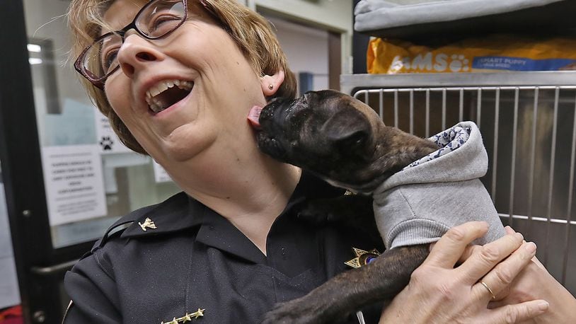 Clark County Dog Warden Sandi Click gets some love from the Clark County Dog Shelter's youngest guest Tuesday morning before they opened for National Adopt a Shelter Pet Day. BILL LACKEY/STAFF