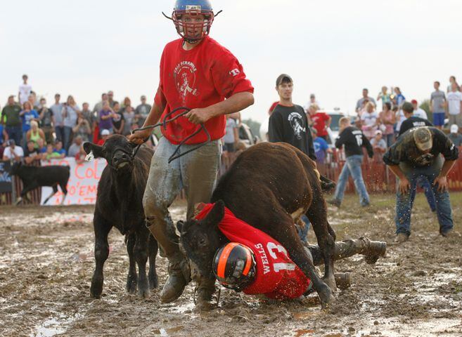 Clark County Fair - Calf Scramble