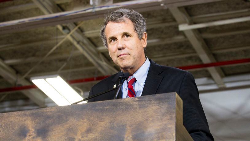 Sen. Sherrod Brown (D-OH) speaks at a campaign rally for Democratic presidential candidate Hillary Clinton on June 13, 2016 in Cleveland.(Photo by Angelo Merendino/Getty Images)