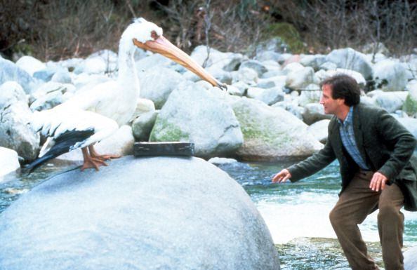 Robin Williams played Alan Parrish in Jumanji (1995)