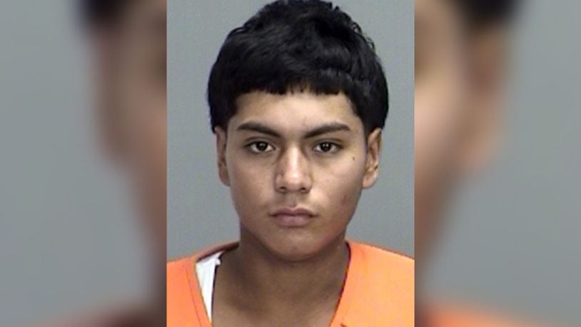 Police say Pedro Puga, 17, hit a woman with his vehicle while under the influence of drugs and alcohol.