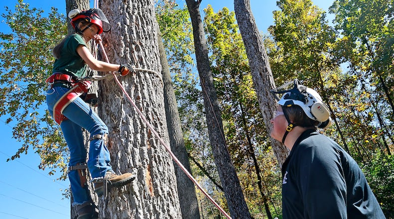 Naomi Eggleston, senior, Tecumseh High School and Jacob Self, senior, Greenon High School work on scaling trees in the Forestry & Park Management Program at Springfield-Clark CTC Friday, Oct. 18, 2024. BILL LACKEY/STAFF