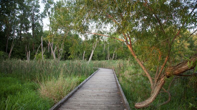 Carriage Hill’s boardwalk is the perfect place for a relaxing stroll. Source: Photo courtesy of Lauren Lemons/Five Rivers MetroParks