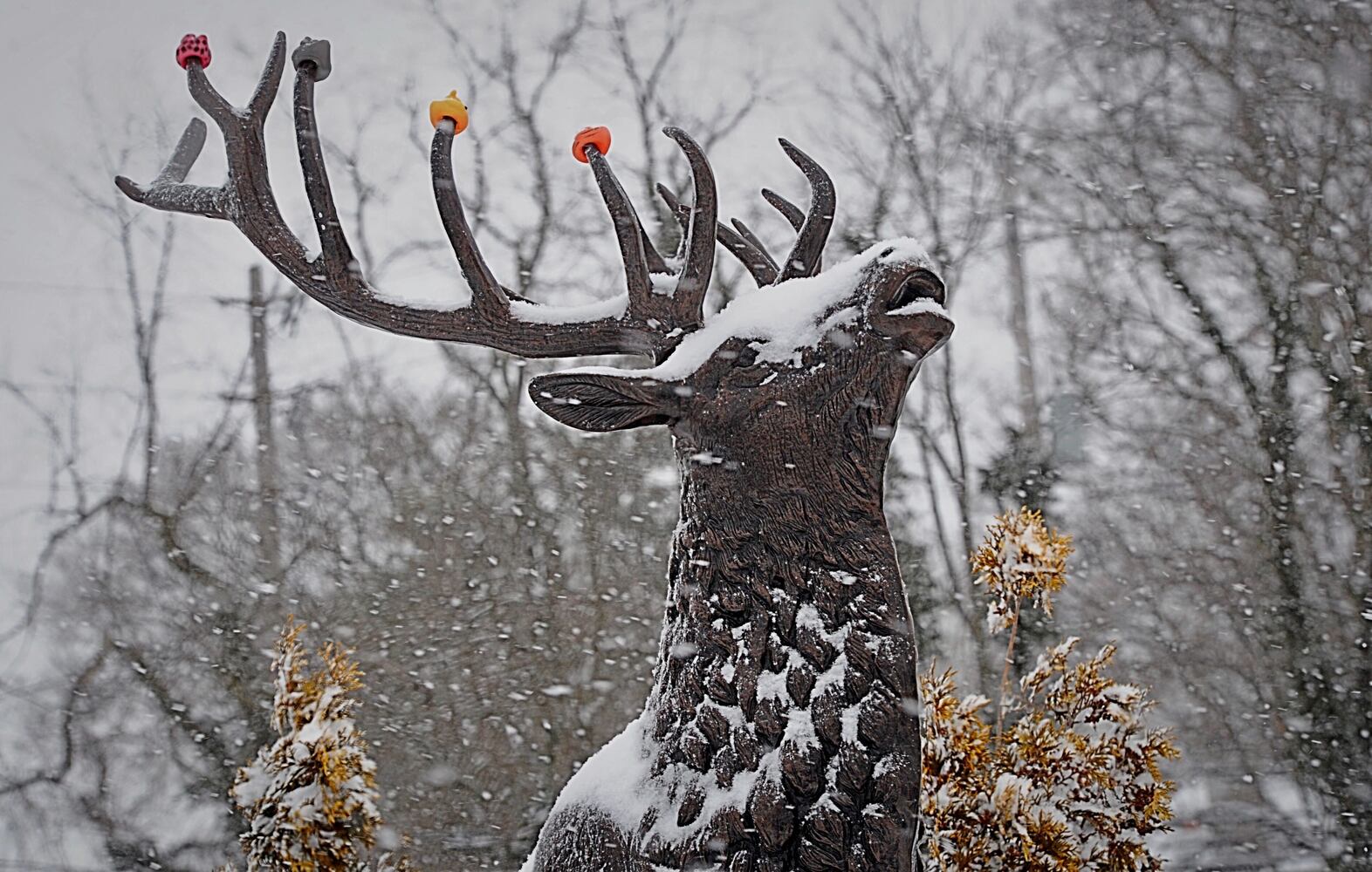 Photos: Winter storm aftermath in Miami Valley
