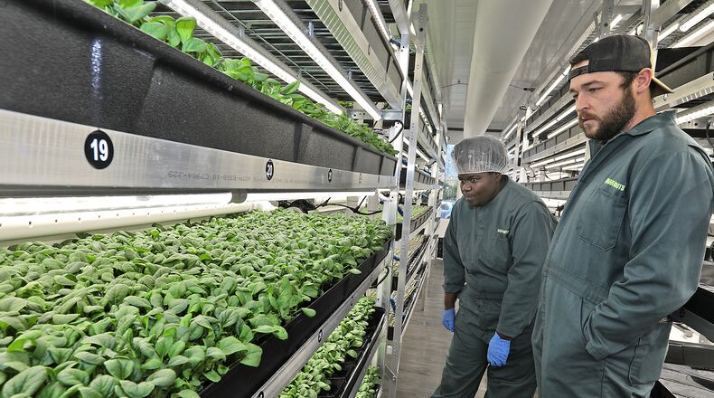 Leah Bahan-Harris and Zackary Perry, from Square Roots, look over some of the crops growing in their indoor farm in Springfield Friday, Sept. 9, 2022. BILL LACKEY/STAFF