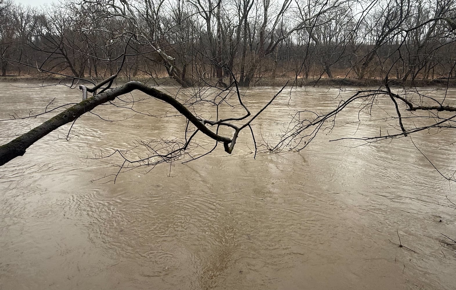 Springfield Flooding