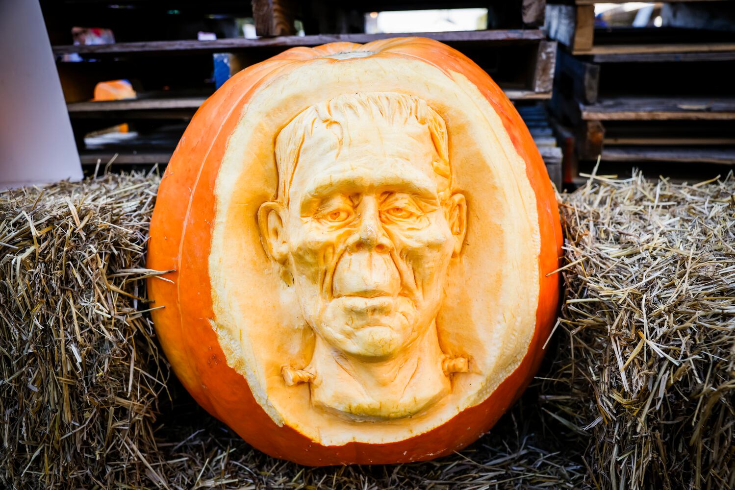 101323 Operation Pumpkin