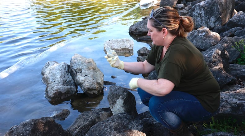 Natalie Foos, from the Ohio Department of Natural Resources, checks out a mysterious film that was detected on the surface of the water in the Buck Creek State Park Marina on Tuesday morning. Foos determined that the film was natural and caused by dead plants and fish breaking down in the water. BILL LACKEY/STAFF