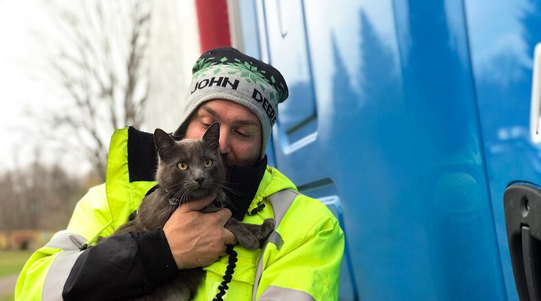 Photo courtesy of Lollypop Farm in Rochester, New York